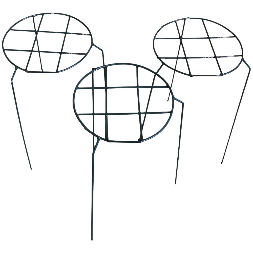Samuel Alexander Tom Chambers Urban Dark Green Metal Herbaceous Garden Plant Support 3 Pack
