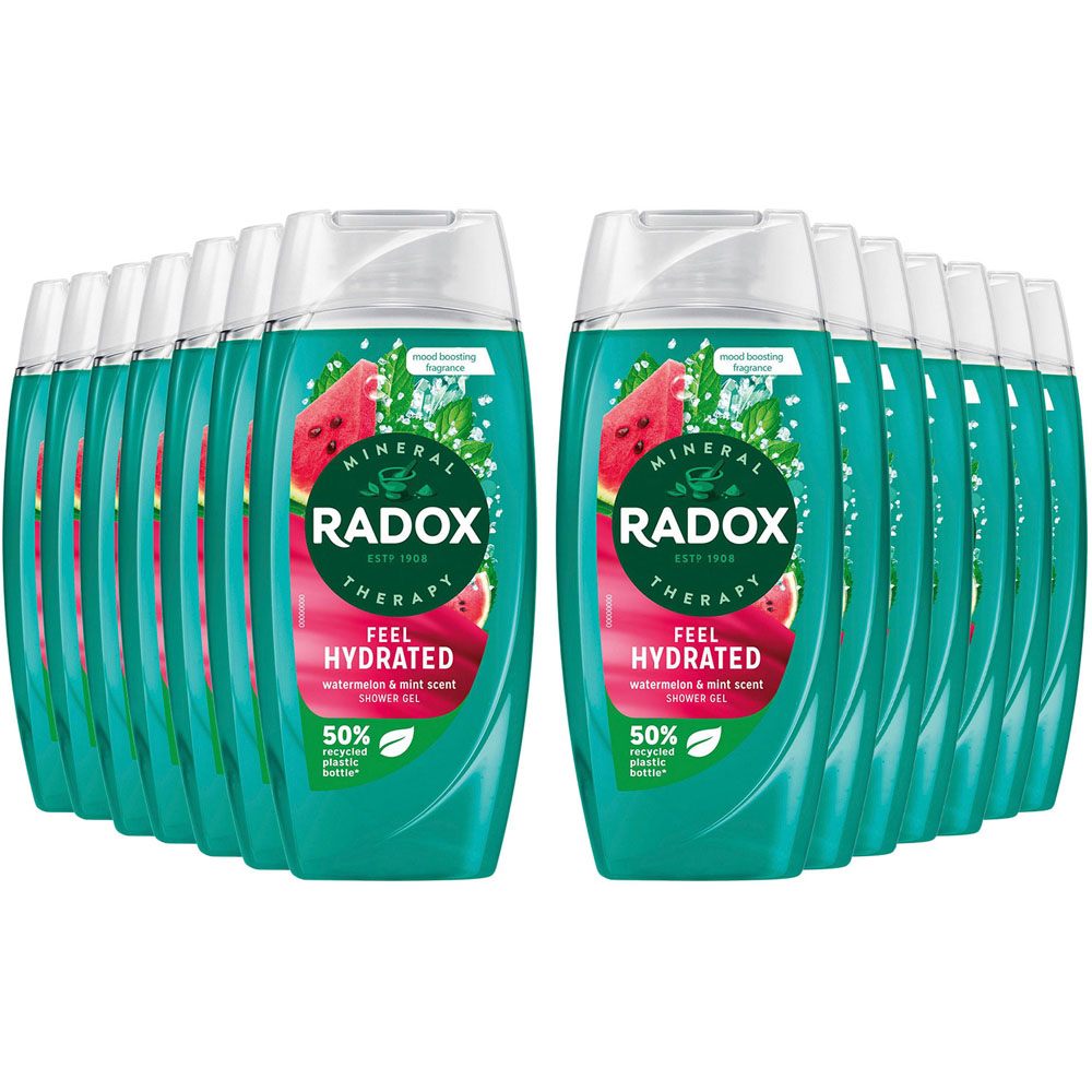 Radox Mineral Therapy Feel Hydrated Watermelon and Mint Scent Shower Gel 225ml 14 Pack