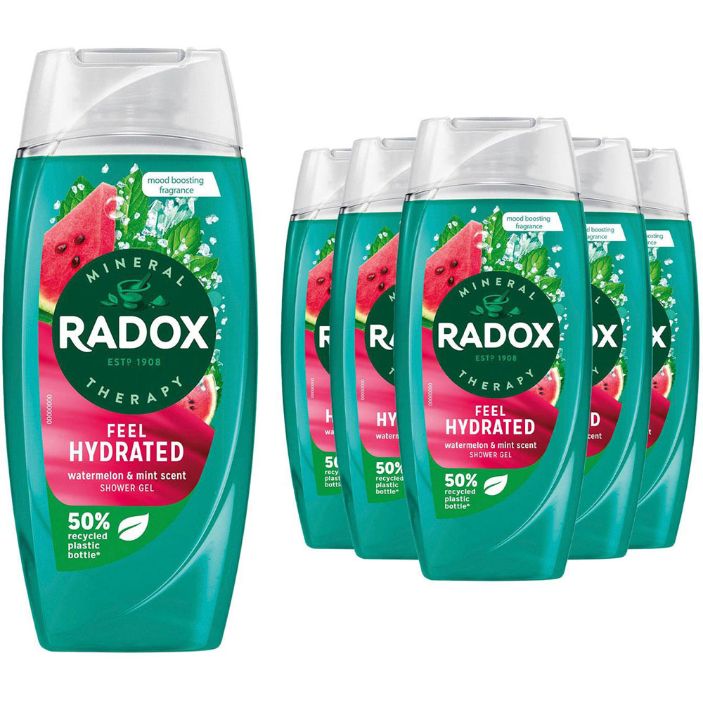 Radox Mineral Therapy Feel Hydrated Watermelon and Mint Scent Shower Gel 225ml 6 Pack