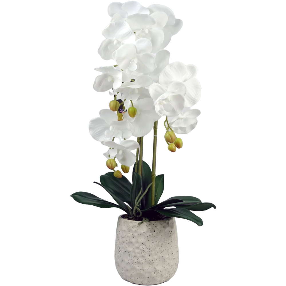 Botanik White Orchid Artificial Tree 60cm in Ceramic Bubble Planter