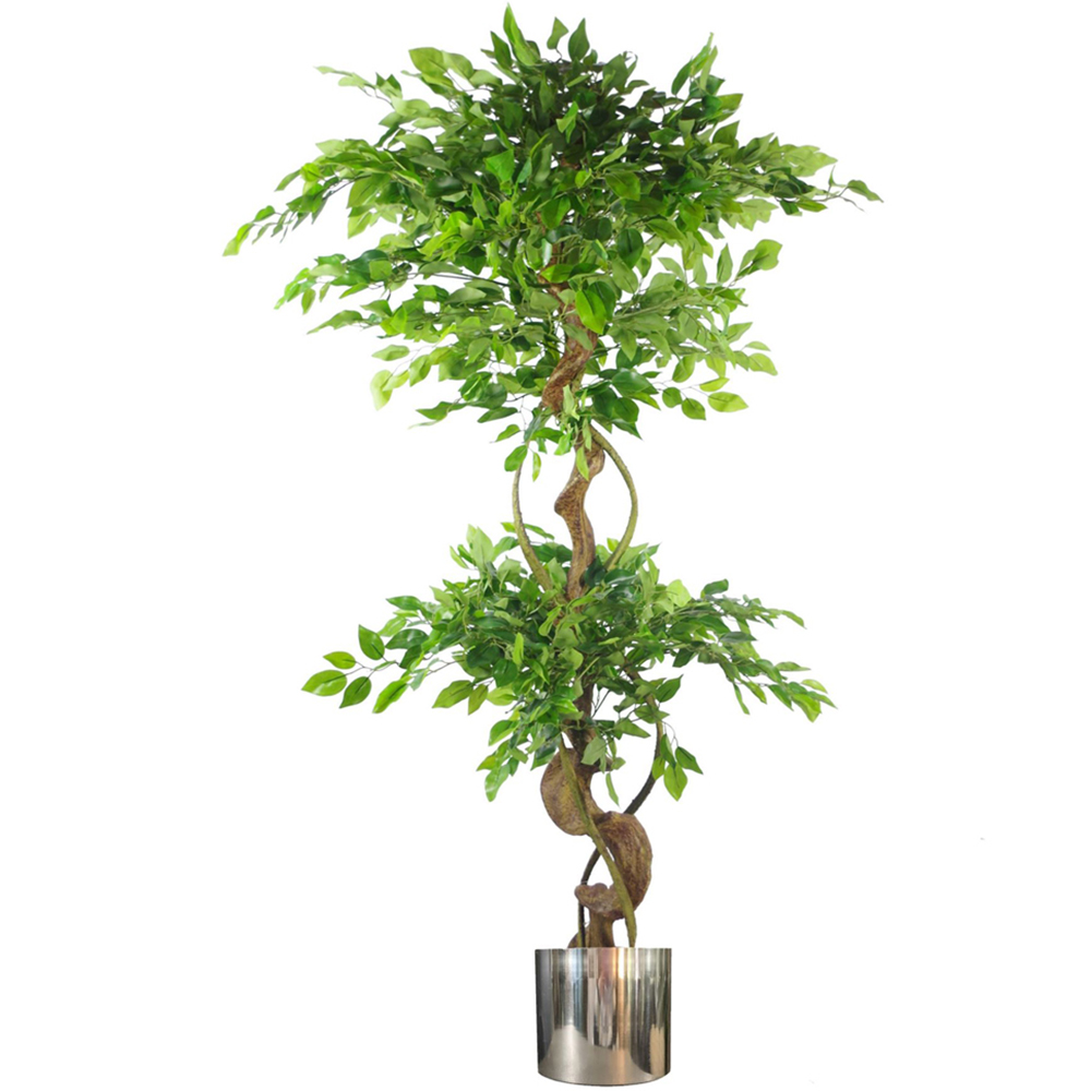 Botanik Artificial Ficus Tree 5ft Green Twisted Trunk Silver Metal Planter