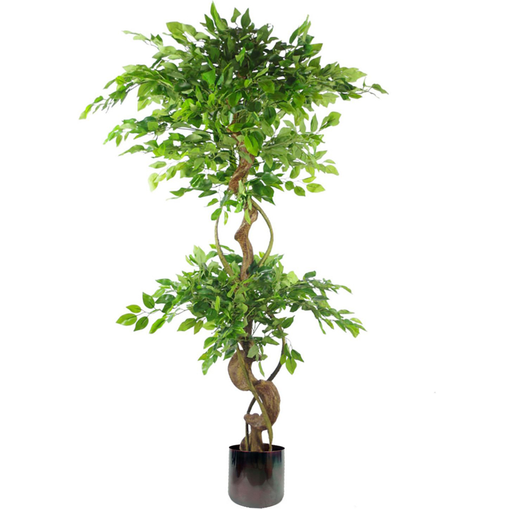 Botanik Artificial Fruticosa Ficus Tree - 5ft - Green - Twisted Trunk
