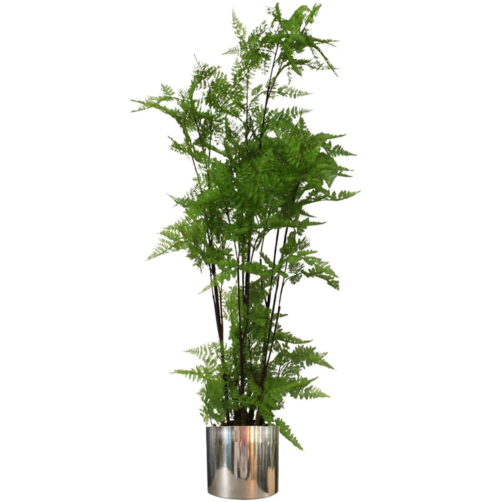 Botanik Artificial Fern Plant - 4.9ft - Green - Silver Planter