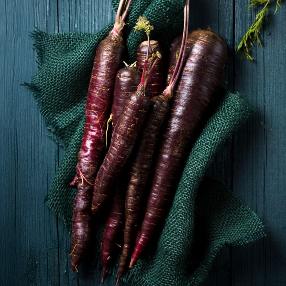 Thompson and Morgan Carrot Deep Purple F1 Seed Packet