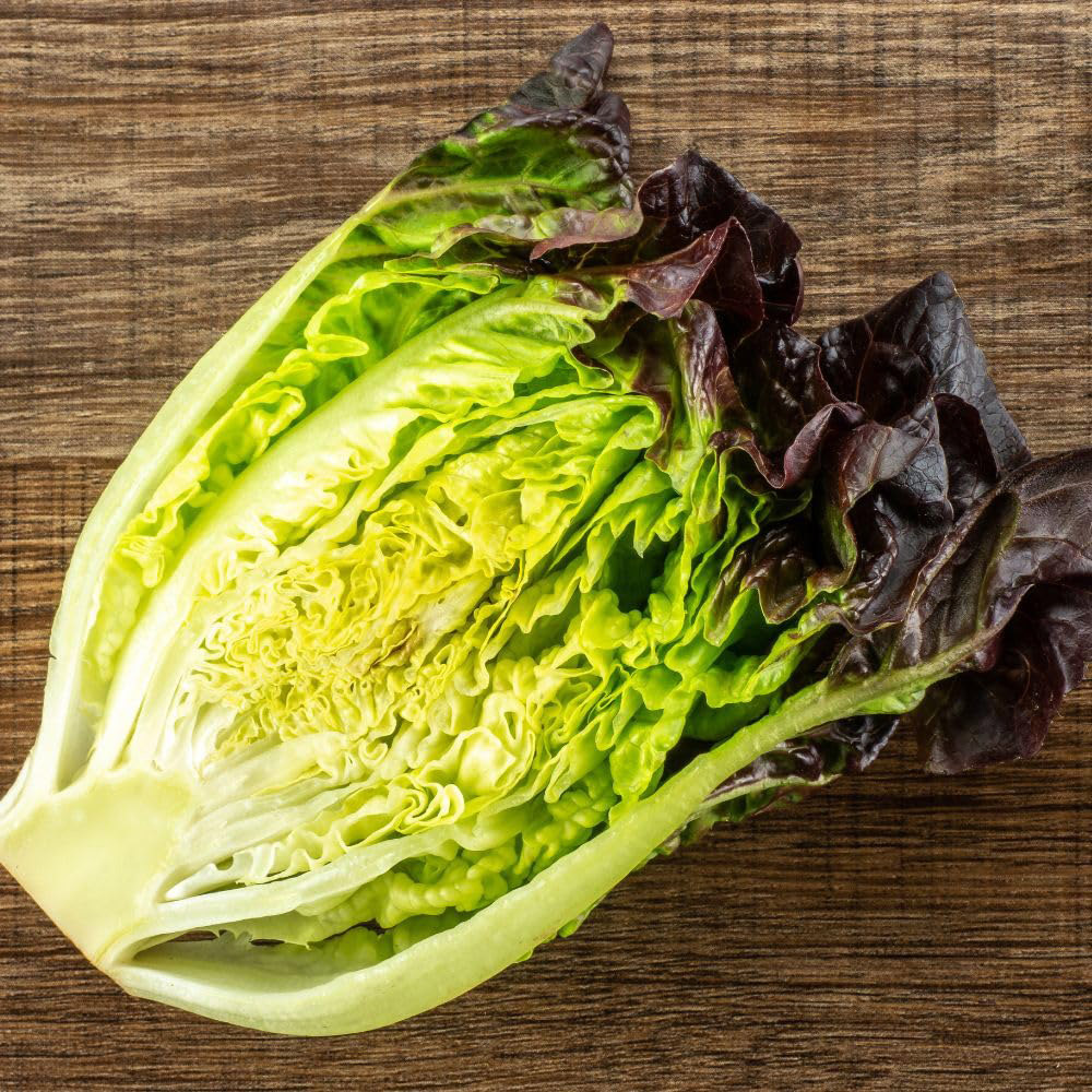 Thompson and Morgan Lettuce Amaze Seed Packet
