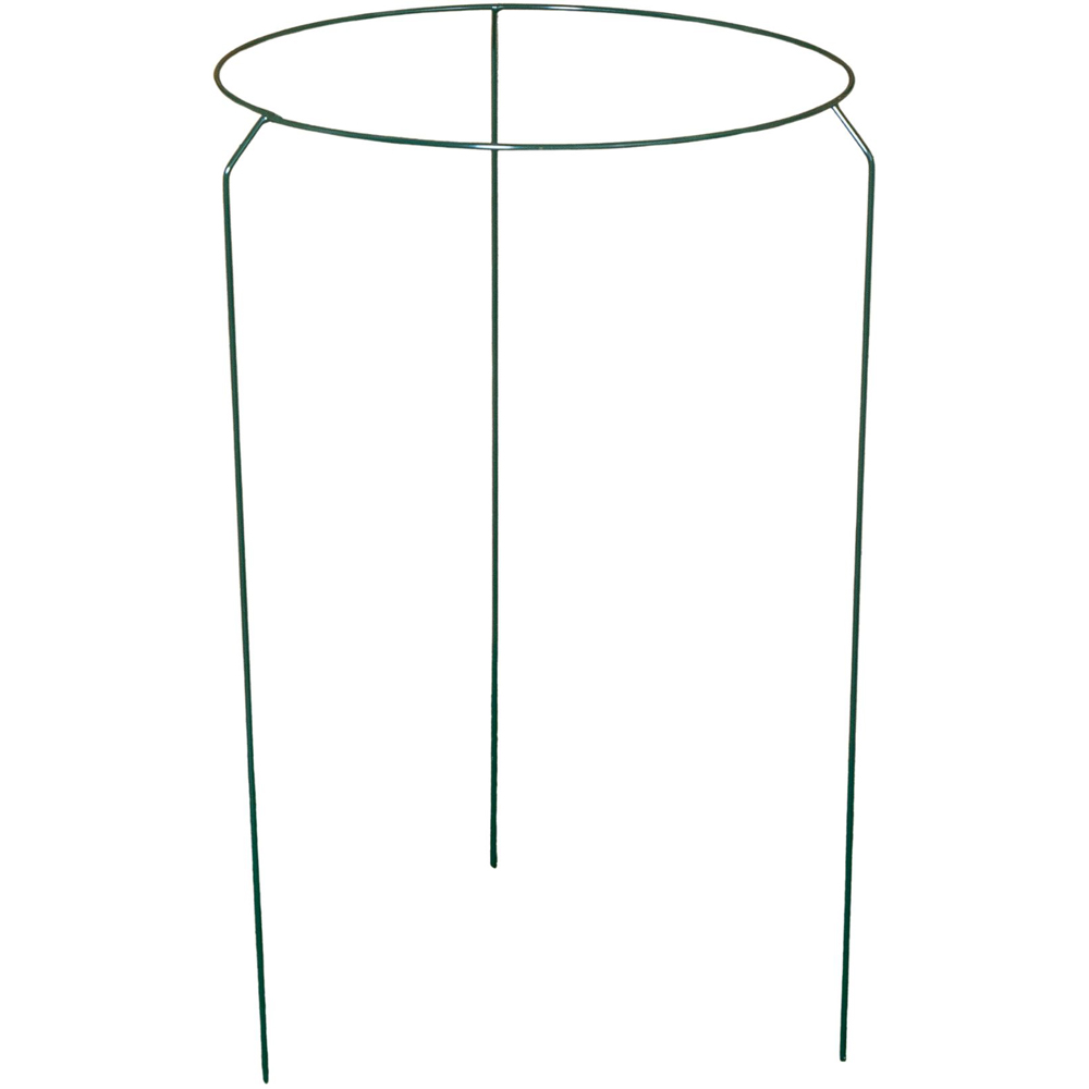 Samuel Alexander Metal Herbaceous Plant Support Ring 40 x 60cm
