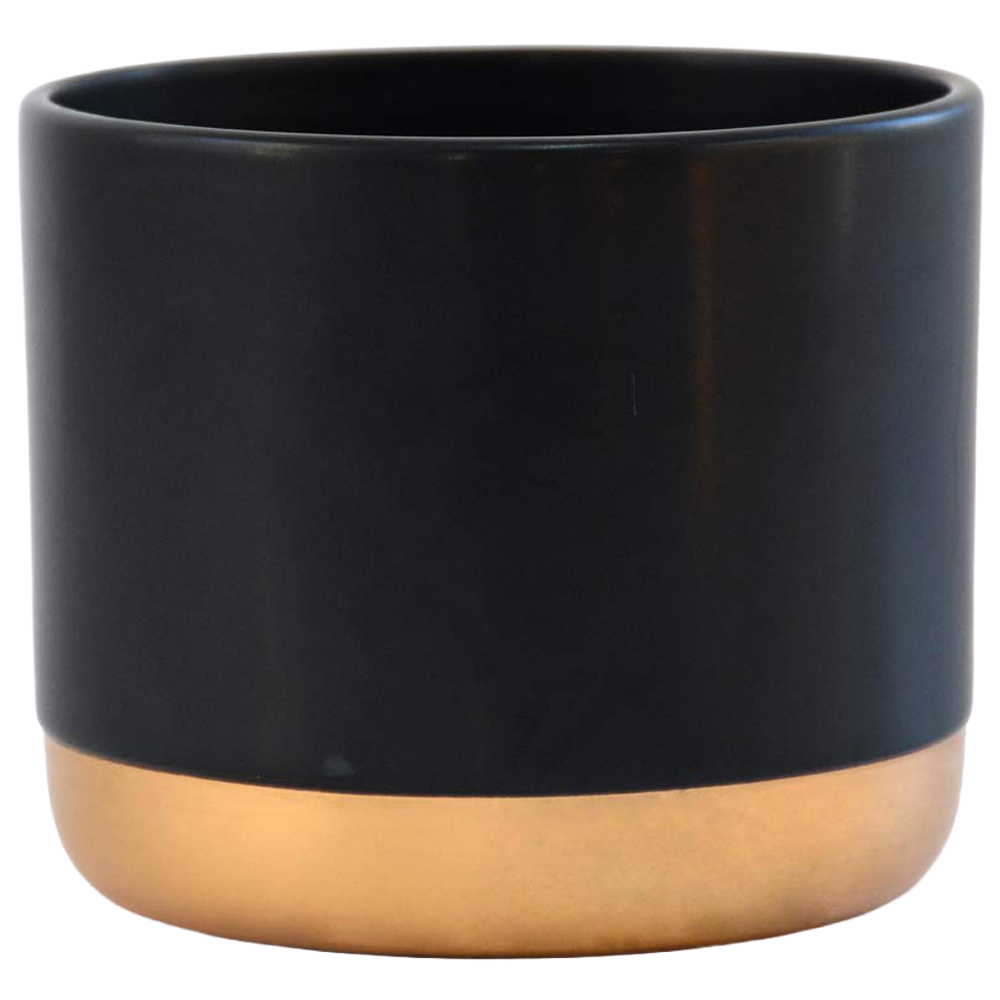 Thompson & Morgan Black and Gold 2 Tone Medium Ceramic Pot 10.5cm