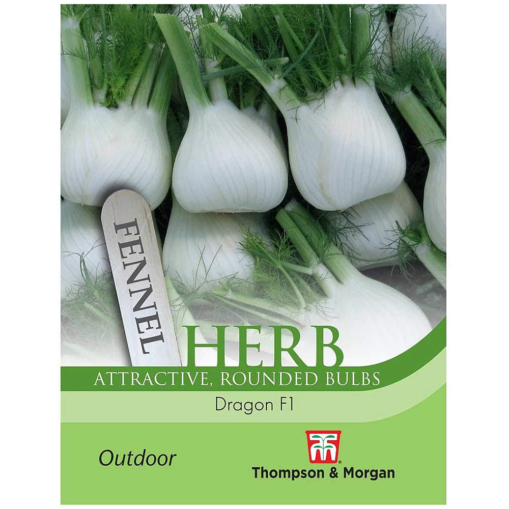 Thompson and Morgan Herb Fennel Dragon F1 Hybrid Seeds