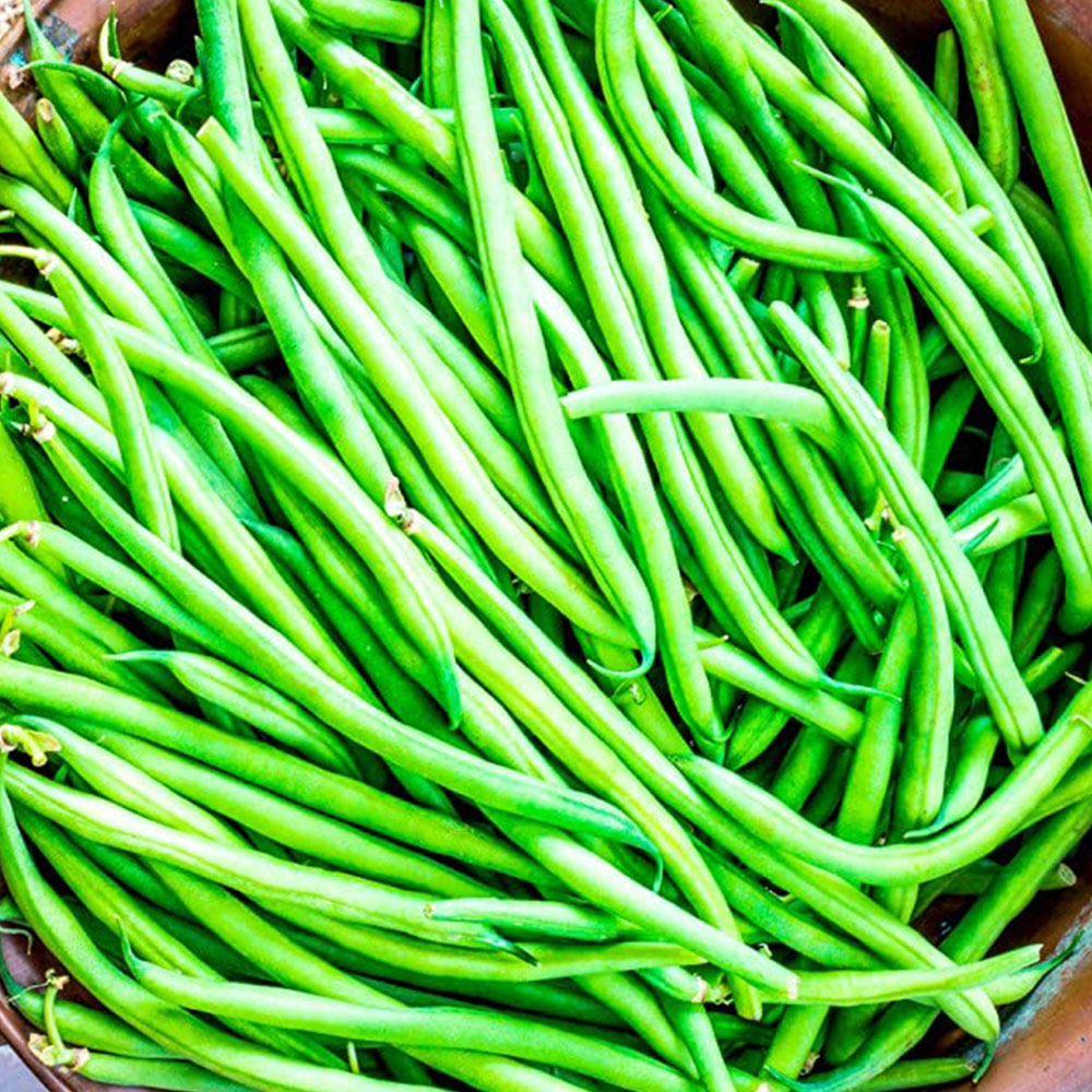 Thompson & Morgan Green Bean Dwarf French Compass Seed Packet