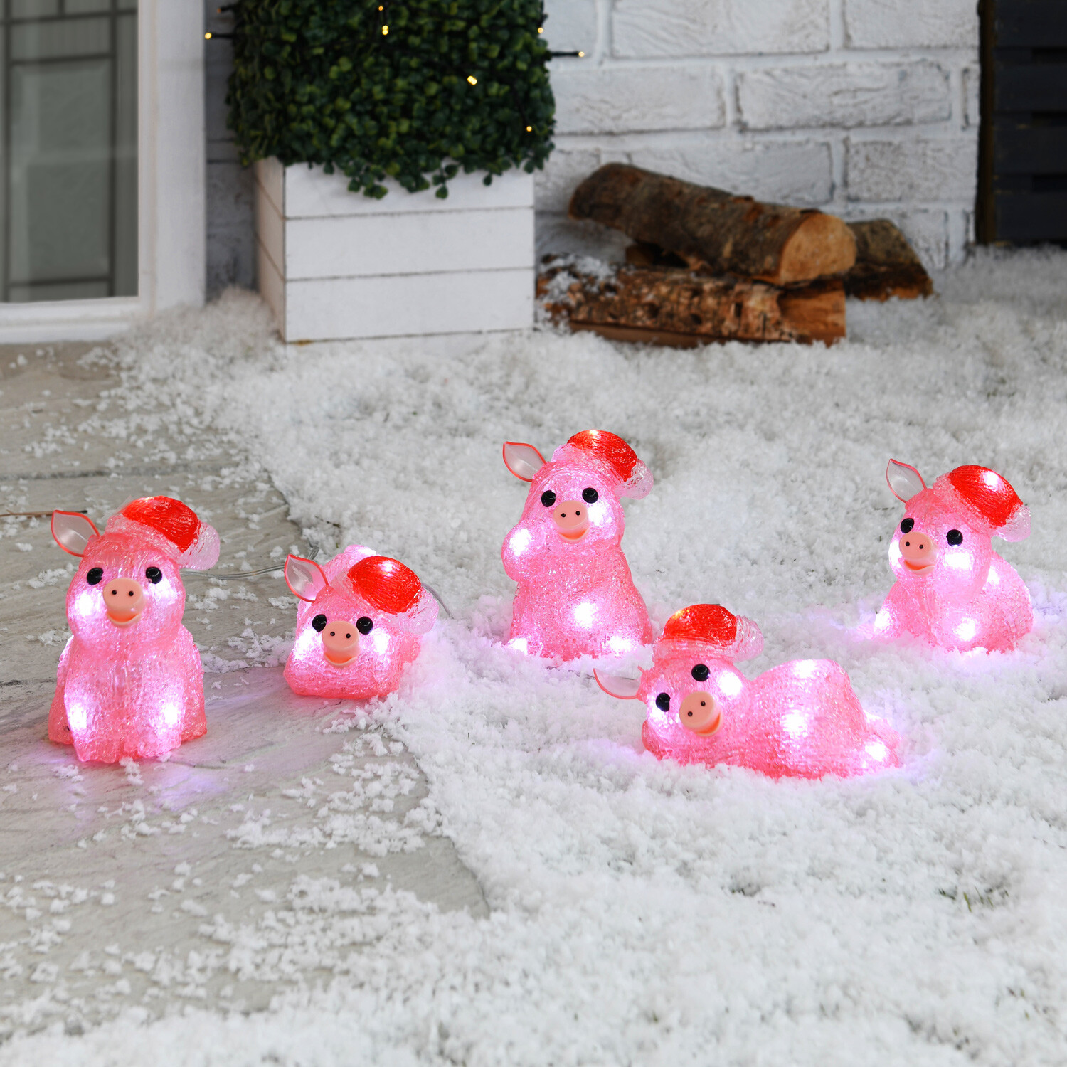 Set of 5 Acrylic Pigs - Pink