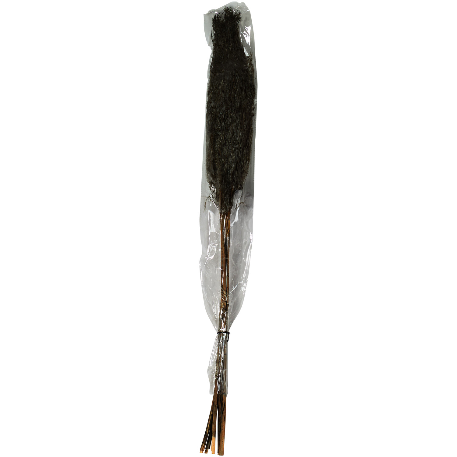 Set of 5 Tall Pampas