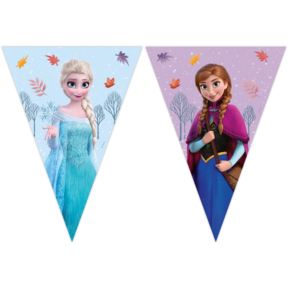 Disney Frozen II Triangle Flag Banner