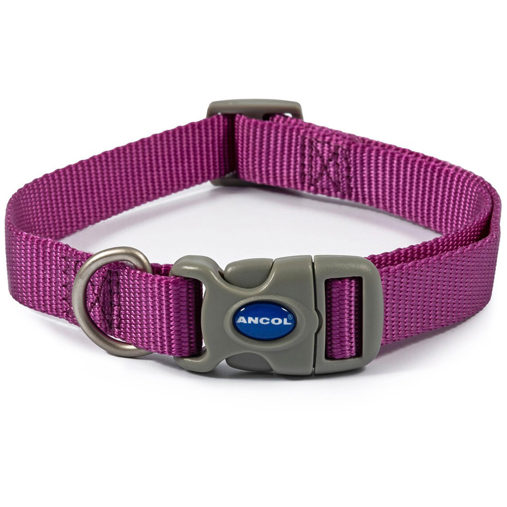 Purple Nylon Collar - Medium