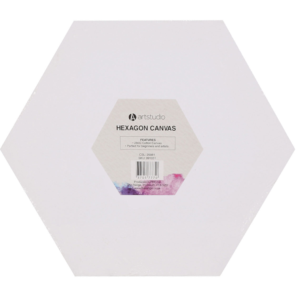 Art Studio Hexagon Canvas 40.2 x 40.2cm