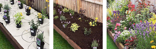 Garden on a roll Garden on a roll