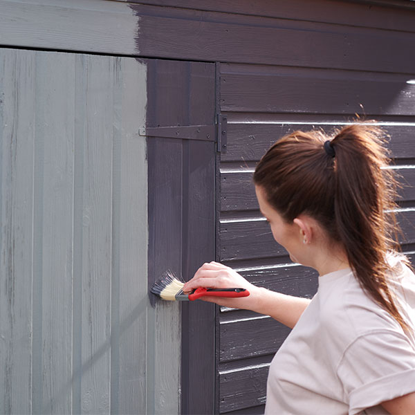Painting Shed