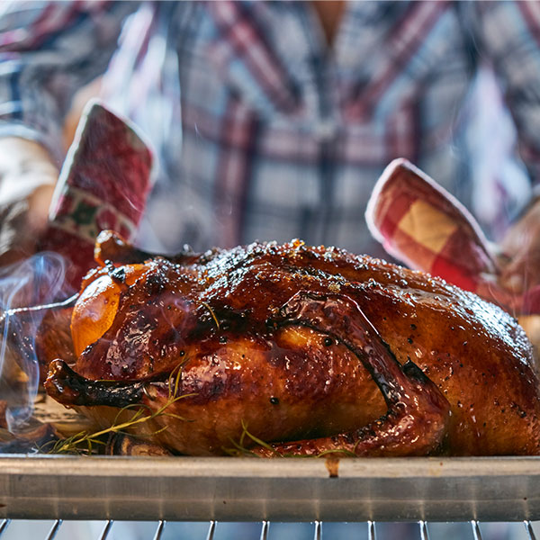 Turkey Turkey