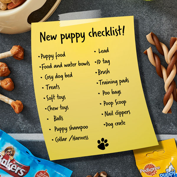 Puppy dog checklist