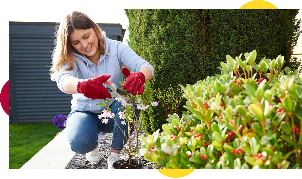 5 DIY jobs for Summer 5 DIY jobs for Summer