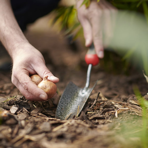 Garden Trowels